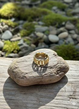 Hermes scarf Ring 510005